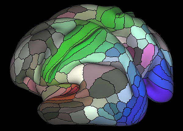 map of areas in human cortex