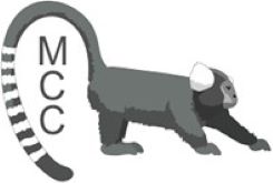 Side shot of a marmoset with the letters "MCC" under its tail.
