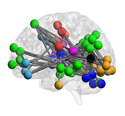 Circuit hyperconnectivity involving the cortex, cerebellum, and thalamus may predict the onset of psychosis. 