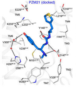 PSM21 docked in opioid receptor