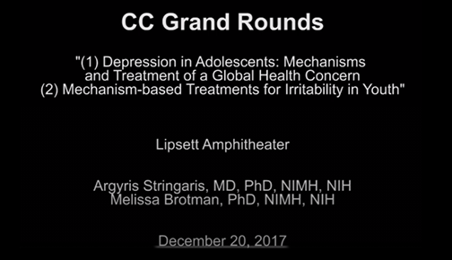screenshot from NIMH Grand Rounds video with Drs. Stringaris and Brotman