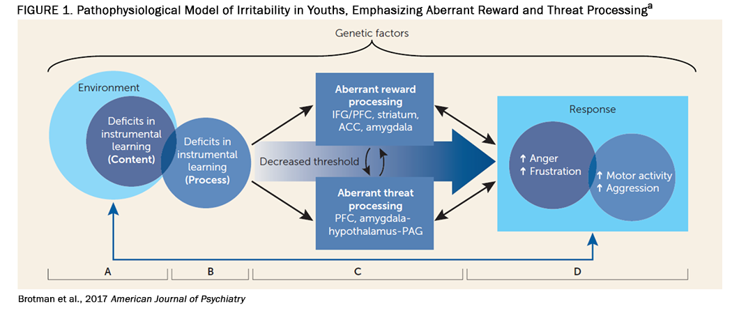 This is a pathophysiological model of irritability in youth.